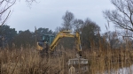 Bagger arbeitet Storchenbiotop in Winsen (Aller) auf