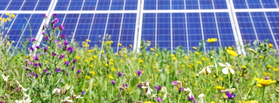 Photovoltaik