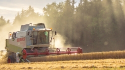 Unternehmensbereich Landwirtschaft 