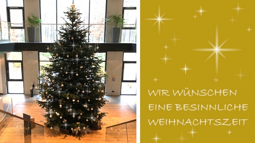 Weihnachtsbaum Lindhorst